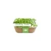 Box Healthy Herb - Peterselie 1 Box Healthy Herb - Peterselie -Compo winkel 1640856818 1 600