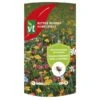Bloemenweide Nuttige Bloemen Tegen Coloradokevers 1 Bloemenweide Nuttige Bloemen Tegen Coloradokevers -Compo winkel 1705314124 1 600