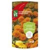 Tagetes Nuttige Bloemen Tegen Aaltjes 2 Tagetes Nuttige Bloemen Tegen Aaltjes -Compo winkel 1705314199 1 600