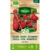 Aardbei Des Bois BIO -Compo winkel aardbei des bois bio 1646839542 213 600