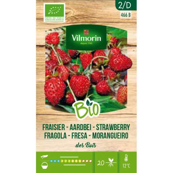 Aardbei Des Bois BIO 3 Aardbei Des Bois BIO