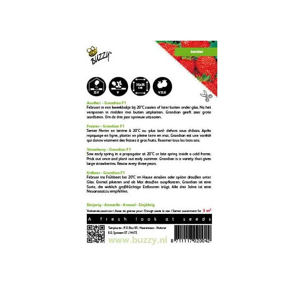Aardbeien Grandian F1 - Fragaria × Ananassa 4 Aardbeien Grandian F1 - Fragaria × Ananassa - Afbeelding 2