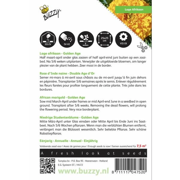 Afrikaan Golden Age - Tagetes Erecta 4 Afrikaan Golden Age - Tagetes Erecta - Afbeelding 2
