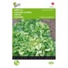 Andijvie Nummer Vijf - Cichorium Endivia -Compo winkel andijvie nummer vijf cichorium endivia 1646840314 71 600