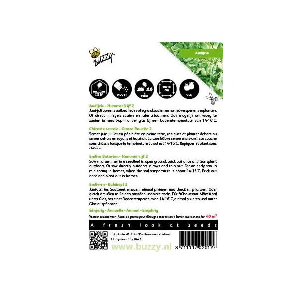 Andijvie Nummer Vijf - Cichorium Endivia 4 Andijvie Nummer Vijf - Cichorium Endivia - Afbeelding 2