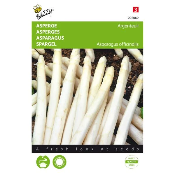 Asperges Argenteuil - Asparagus Officinalis 3 Asperges Argenteuil - Asparagus Officinalis