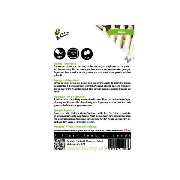 Asperges Argenteuil - Asparagus Officinalis 4 Asperges Argenteuil - Asparagus Officinalis - Afbeelding 2