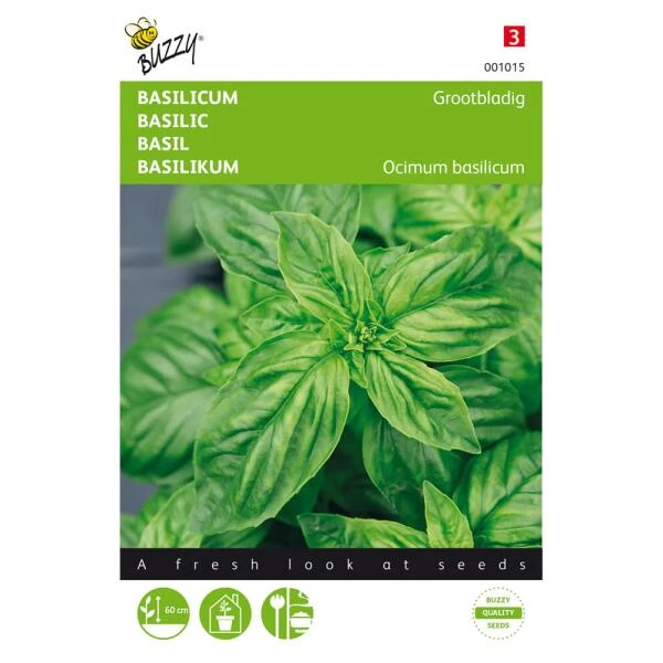 Basilicum Grove - Ocimum Basilicum 3 Basilicum Grove - Ocimum Basilicum