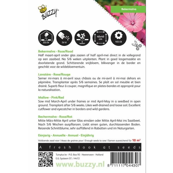 Bekermalva - Lavatera Trimestris 4 Bekermalva - Lavatera Trimestris - Afbeelding 2