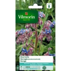 Bernagie (Komkommerkruid) - Borago Officinalis