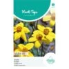 Bidens Golden Eye - Bidens Humilis 2 Bidens Golden Eye - Bidens Humilis -Compo winkel bidens golden eye bidens humilis 1646840359 1034 600