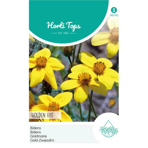 Bidens Golden Eye - Bidens Humilis 3 Bidens Golden Eye - Bidens Humilis