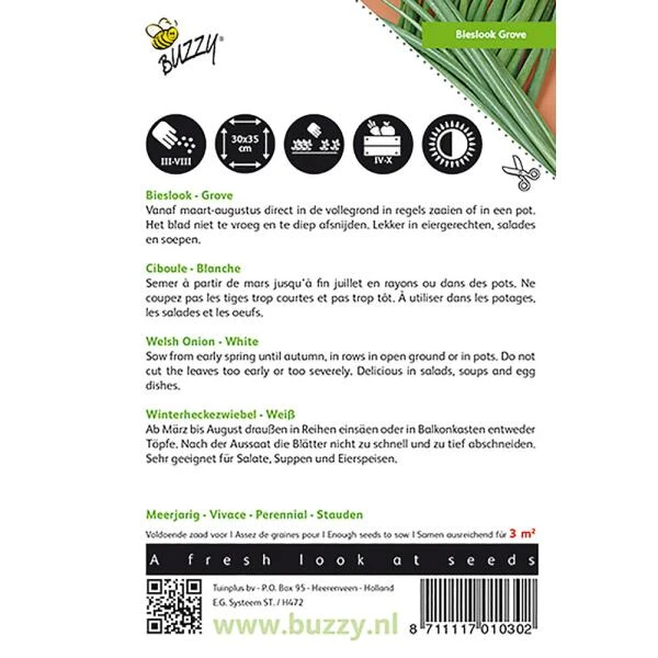 Bieslook Grove - Allium Fistulosum 4 Bieslook Grove - Allium Fistulosum - Afbeelding 2