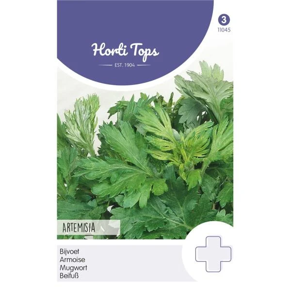Bijvoet - Artemisia Vulgaris 3 Bijvoet - Artemisia Vulgaris