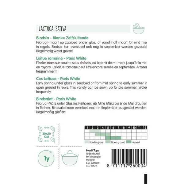 Bindsla Blanke Zelfsluitende - Lactuca Sativa 4 Bindsla Blanke Zelfsluitende - Lactuca Sativa - Afbeelding 2