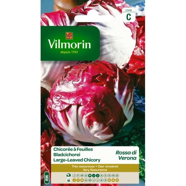 Bladcichorei Rode Van Verona 3 Bladcichorei Rode Van Verona