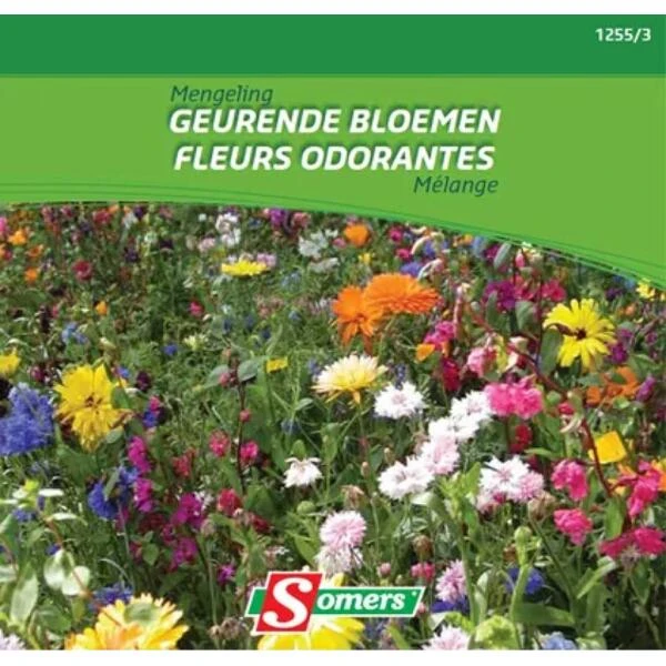 Bloemenmengsel - Geurende Bloemen 20 M² 3 Bloemenmengsel - Geurende Bloemen 20 M²