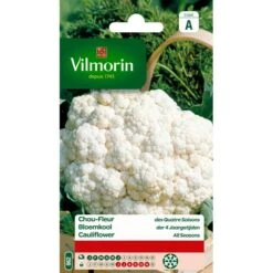 Bloemkool Wonder 4 Jaargetijden