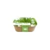 Box Healthy Herb - Bieslook 2 Box Healthy Herb - Bieslook -Compo winkel box healthy herb bieslook 1640857122 1 600