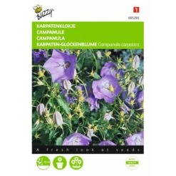 Campanula Carpatica (blauw Karpatenklokje)