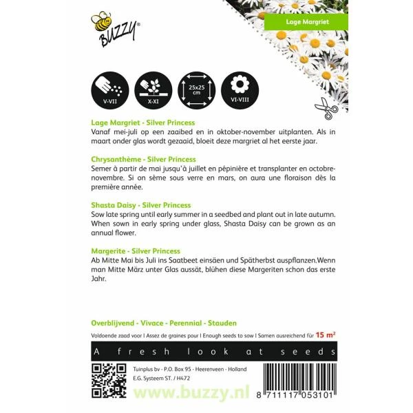 Chrysanthemum Maximum Nanum Silver Princess 3 Chrysanthemum Maximum Nanum Silver Princess - Afbeelding 2