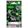Cobea Klimmende - Cobea Scandens -Compo winkel cobea klimmende cobea scandens 1646839547 242 600