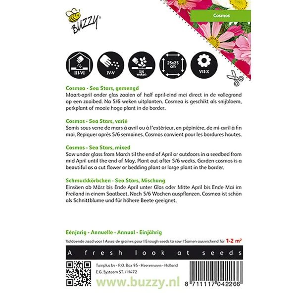 Cosmea - Cosmos Sea Stars Gemengd 4 Cosmea - Cosmos Sea Stars Gemengd - Afbeelding 2
