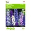 Delphinium Cultorum Pacific Giant -Compo winkel delphinium cultorum pacific giant 1646840336 539 600