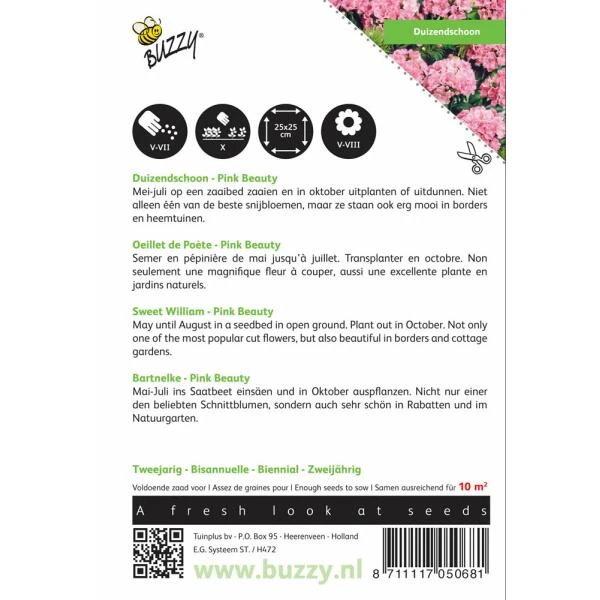 Dianthus Barbatus Pink Beauty 4 Dianthus Barbatus Pink Beauty - Afbeelding 2