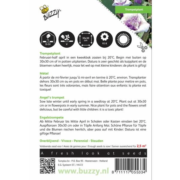 Doornappel - Datura Metel 4 Doornappel - Datura Metel - Afbeelding 2