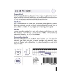 Compo winkel -Compo winkel duizendblad achillea millefolium 1646840346 739 600