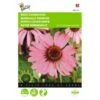 Echinacea Purpurea - Rode Zonnehoed -Compo winkel echinacea purpurea rode zonnehoed 1646840344 700 600