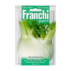 Finocchio Montebianco - Knolvenkel