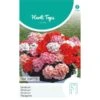 Geranium Magic Beauty - Pelargonium Zonale -Compo winkel geranium magic beauty pelargonium zonale 1646840363 1128 600