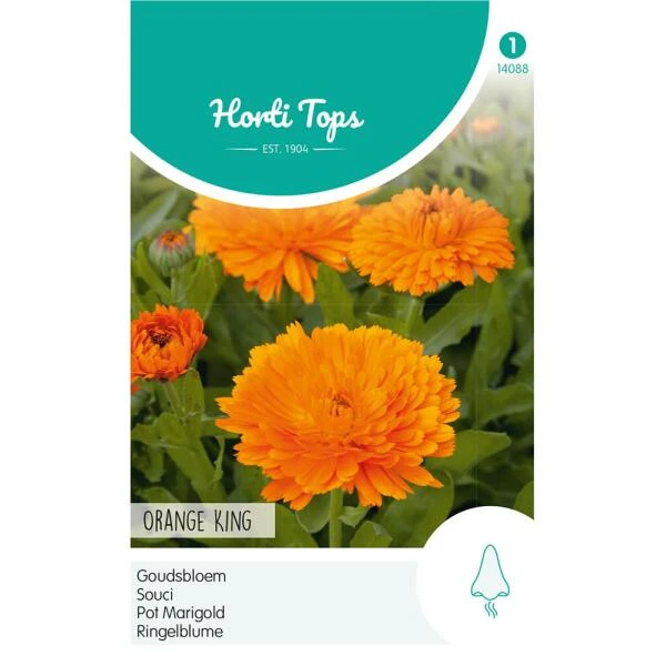 Goudsbloem Orange King - Calendula Officinalis 3 Goudsbloem Orange King - Calendula Officinalis