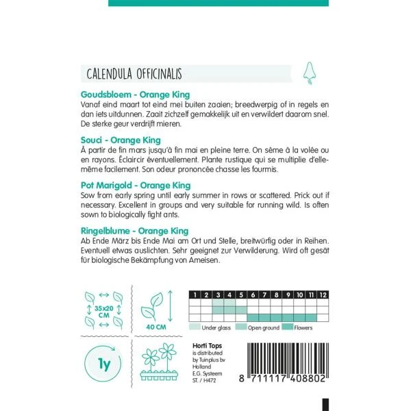 Goudsbloem Orange King - Calendula Officinalis 4 Goudsbloem Orange King - Calendula Officinalis - Afbeelding 2