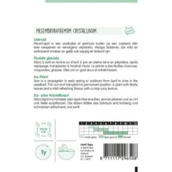 Ijskruid - Mesembryanthemum Crystallinum 5 Ijskruid - Mesembryanthemum Crystallinum -Compo winkel ijskruid mesembryanthemum crystallinum 1646840357 991 600