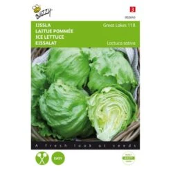 IJssla Great Lakes 118 - Lactuca Sativa