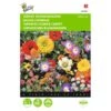 Japans Bloemengazon 1 Japans Bloemengazon -Compo winkel japans bloemengazon 1646840333 477 600