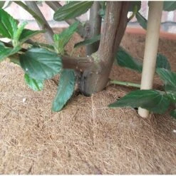 Jute Afdekring - Ø 37 Cm -Compo winkel jute afdekring 37 cm 1484065592 4 600