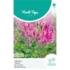 Kattensnor Rose Queen - Cleome Spinosa HT 2 Kattensnor Rose Queen - Cleome Spinosa HT -Compo winkel kattensnor rose queen cleome spinosa ht 1646840358 1012 600