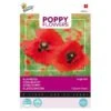 Klaproos Corn Poppy - Papaver Rhoeas 2 Klaproos Corn Poppy - Papaver Rhoeas -Compo winkel klaproos corn poppy papaver rhoeas 1646840341 657 600