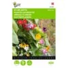Klimplantenmengsel (diverse Soorten) 1 Klimplantenmengsel (diverse Soorten) -Compo winkel klimplantenmengsel diverse soorten 1646840333 479 600