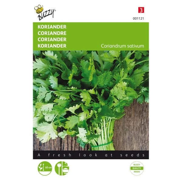 Koriander - Coriandrum Sativum 3 Koriander - Coriandrum Sativum