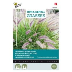 Lampenpoetsersgras - Pennisetum Alopecuroides