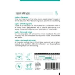 Lupine éénjarig Mix - Lupinus Hartwegi -Compo winkel lupine njarig mix lupinus hartwegi 1646840361 1089 600