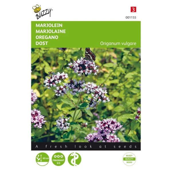 Marjolein Of Oregano - Origanum Vulgare 3 Marjolein Of Oregano - Origanum Vulgare
