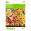 Maskerbloem Queens Price - Mimulus Luteus Tigrinus -Compo winkel maskerbloem queens price mimulus luteus tigrinus 1646840329 409 600