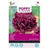 Papaver Black Paeony -Compo winkel papaver black paeony 1646840389 1612 600