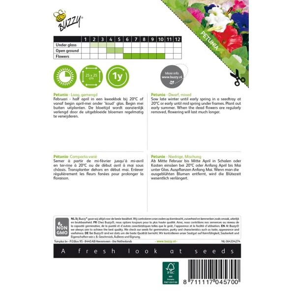 Petunia - Petunia Nana Compacta 4 Petunia - Petunia Nana Compacta - Afbeelding 2